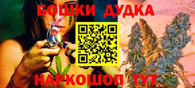 молекула духа Сланцы