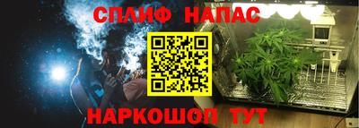молекула духа Сланцы