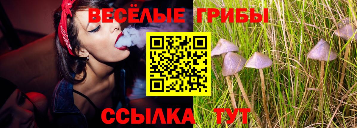 Галлюциногенные грибы Magic Shrooms Обь