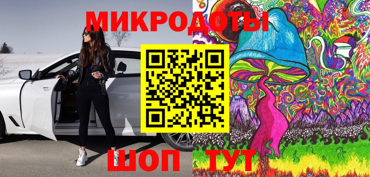 Обь  Псилоцибиновые грибы Psilocybine cubensis  Вход с VPN 